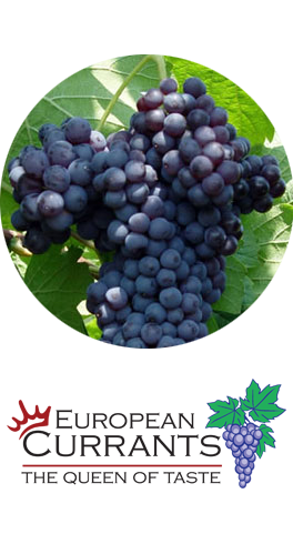 Agricultural Cooperatives Union - Aeghion, Greece (P.E.S. Union)